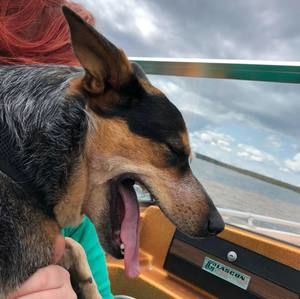 Meet your Posher, Corey